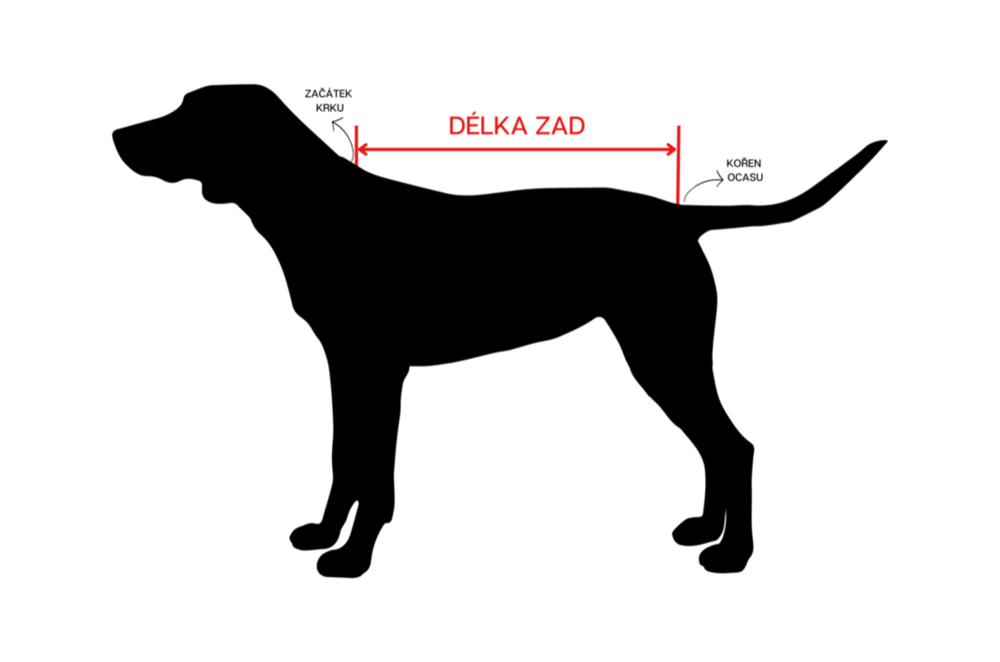 Kde měřit délku zad psa